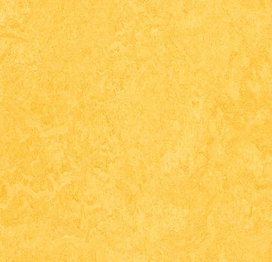 Forbo Marmoleum Click 333251 lemon zest