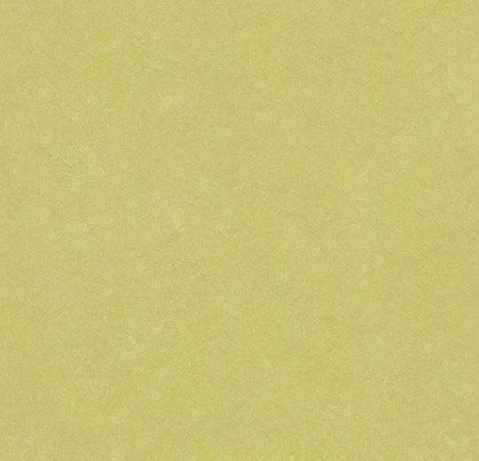 Forbo Marmoleum Click 333885 spring buds