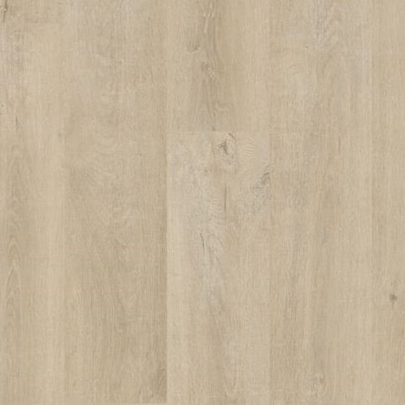 Quickstep Eligna Amsterdam EL3907